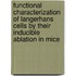 Functional characterization of Langerhans cells by their inducible ablation in mice