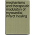 Mechanisms and Therapeutic Modulaton of Myocardial Infarct Healing