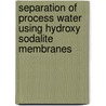 Separation of Process Water using Hydroxy Sodalite Membranes door S. Khajavi