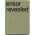Ensor Revealed