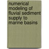 Numerical modeling of fluvial sediment supply to marine basins door A.J. Kettner