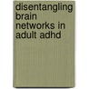 Disentangling Brain Networks In Adult Adhd door M.K.F. Schneider