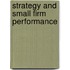 Strategy and small firm performance