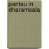 Pantau in Dharamsala