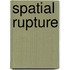 Spatial Rupture