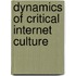 Dynamics of Critical Internet Culture