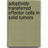 Adoptively transferred effector cells in solid tumors