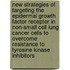 New strategies of targeting the epidermal growth factor receptor in non-small cell lung cancer cells to overcome resistance to tyrosine kinase inhibitors