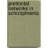 Prefrontal networks in schizophrenia