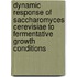 Dynamic response of Saccharomyces cerevisiae to fermentative growth conditions