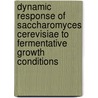 Dynamic response of Saccharomyces cerevisiae to fermentative growth conditions by J. van den Brink