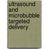 Ultrasound and Microbubble Targeted Delivery