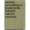 Reverse remodeling in Bradycardia induced volume overload by M. Pelschar