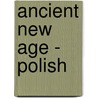 Ancient New Age - Polish door H.H. Sri Sri Ravi Shankar