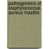 Pathogenesis of Staphylococcus aureus mastitis