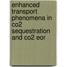 Enhanced Transport Phenomena In Co2 Sequestration And Co2 Eor door R. Farajzadeh
