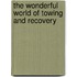 The wonderful world of towing and recovery