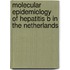 Molecular epidemiology of hepatitis B in the Netherlands