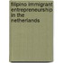 Filipino immigrant entrepreneurship in the Netherlands