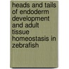 Heads and tails of endoderm development and adult tissue homeostasis in zebrafish door A.F. Bastos de Miranda de Sousa E. Faro