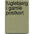 Fuglebjerg i gamle postkort