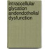 Intraccellular glycation andendothelial dysfunction