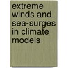 Extreme winds and sea-surges in climate models by Henk van den Brink