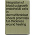 Integration of blood outgrowth endothelial cells in dermalfibroblast sheets promotes full-thickness wound healing