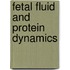 Fetal fluid and protein dynamics