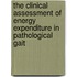 The Clinical Assessment of Energy Expenditure in Pathological Gait