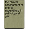 The Clinical Assessment of Energy Expenditure in Pathological Gait by M.A. Brehm