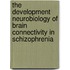 The development neurobiology of brain connectivity in schizophrenia