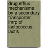 Drug efflux mechanisms by a secondary transporter LmrP of Lactococcus lactis door P. Mazurkiewicz