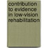 Contribution to evidence in low-vision rehabilitation
