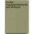 Ovules, megagametophytes and embryos