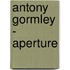 Antony Gormley - Aperture