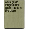 Wnts guide longitudinal axon tracts in the brain door Asheeta Prasad