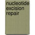 Nucleotide excision repair