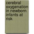 Cerebral oxygenation in newborn infants at risk