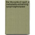 The life-cycle of npp2, a metastasis-enhancing lysophospholipase