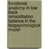 Functional anatomy in low back rehabilitation balance in the biopsychological model