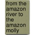 From the Amazon river to the Amazon molly
