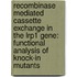 Recombinase Mediated Cassette Exchange In The Lrp1 Gene: Functional Analysis Of Knock-in Mutants