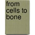 From cells to bone