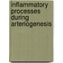 Inflammatory Processes during Arteriogenesis
