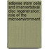 Adipose Stem Cells and Intervertebral Disc Regeneration: Role of the Microenvironment