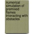 Numerical Simulation of Premixed Flames interacting with Obstacles