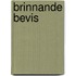 Brinnande bevis