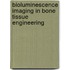 Bioluminescence imaging in bone tissue engineering