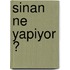 Sinan ne yapiyor ?
